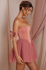 Off Shoulder Tulle Skirt Mini Dress In Terracotta