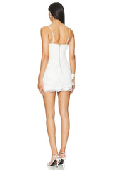Brias Mini Dress