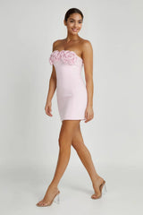 Valentine'S Day Roses Mini Dress - Blush Pink