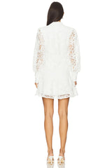 Remy Embroidered Mini Dress