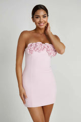 Valentine'S Day Roses Mini Dress - Blush Pink