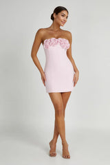 Valentine'S Day Roses Mini Dress - Blush Pink